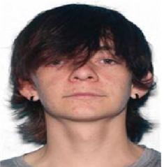 SCHWEITZER,WILLIAM ANDREW